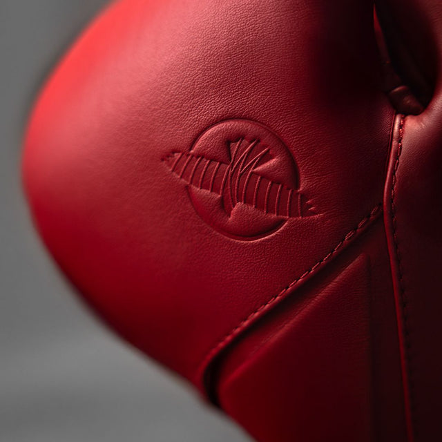 Hayabusa Boxing gloves E1 – Red