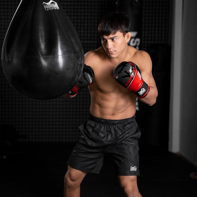 Phantom Athletics Boxing gloves Raider - Red/Black