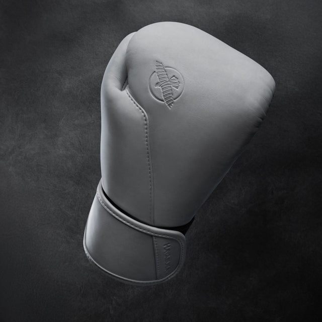 Hayabusa Boxing Gloves T360 - Sea Smoke