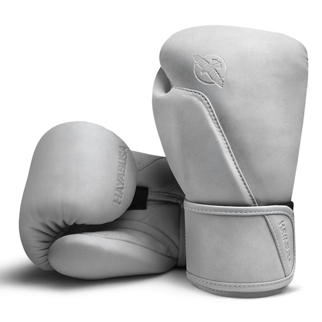 Hayabusa Boxing Gloves T360 - Sea Smoke