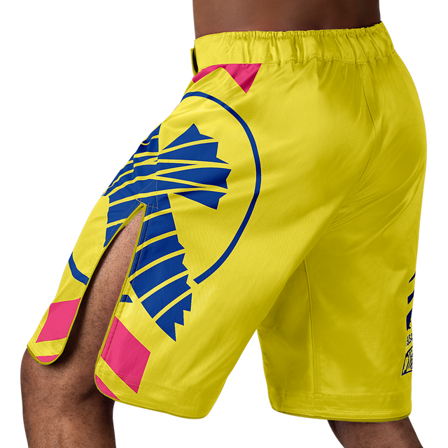 Hayabusa MMA Shorts Icon Lang - Geel/Blauw/Roze