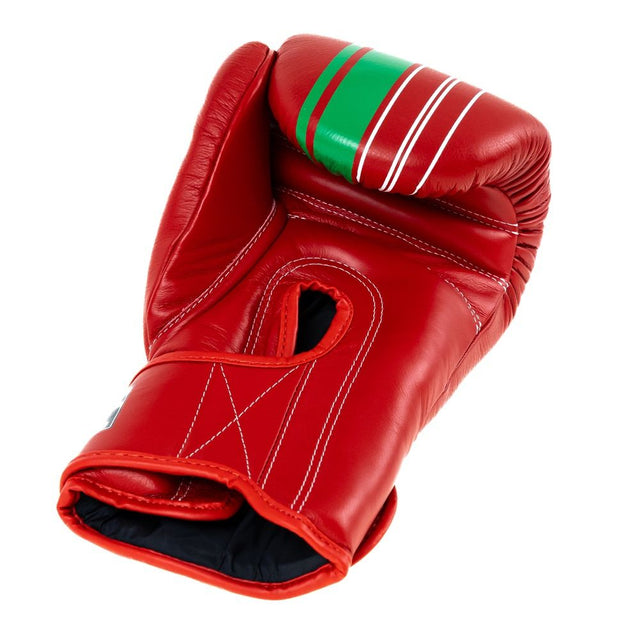 Booster Boxing Gloves V9 'Morocco' - Red/Green