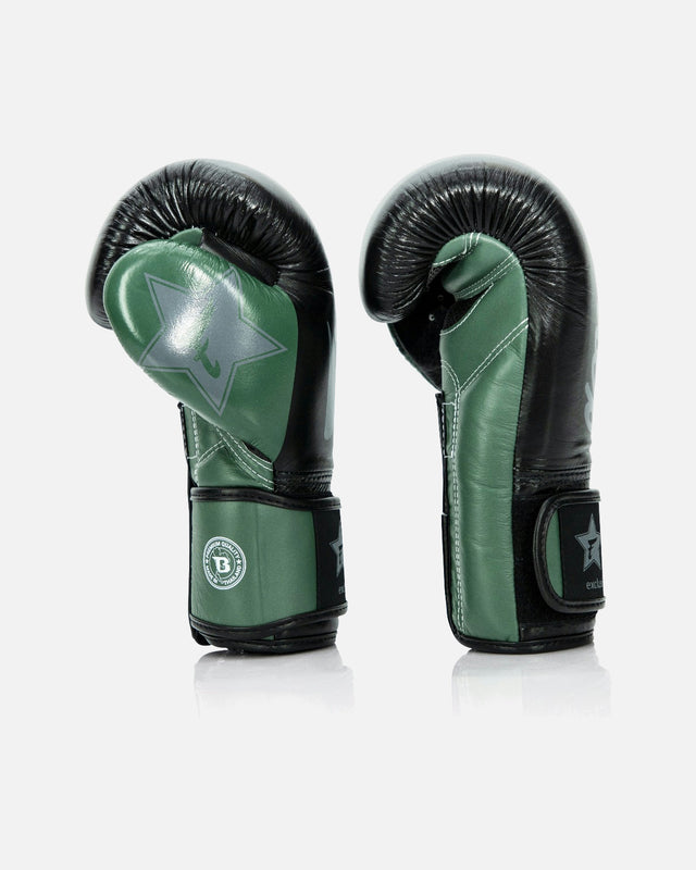 Fairtex Boxing gloves FXB V2 – Green