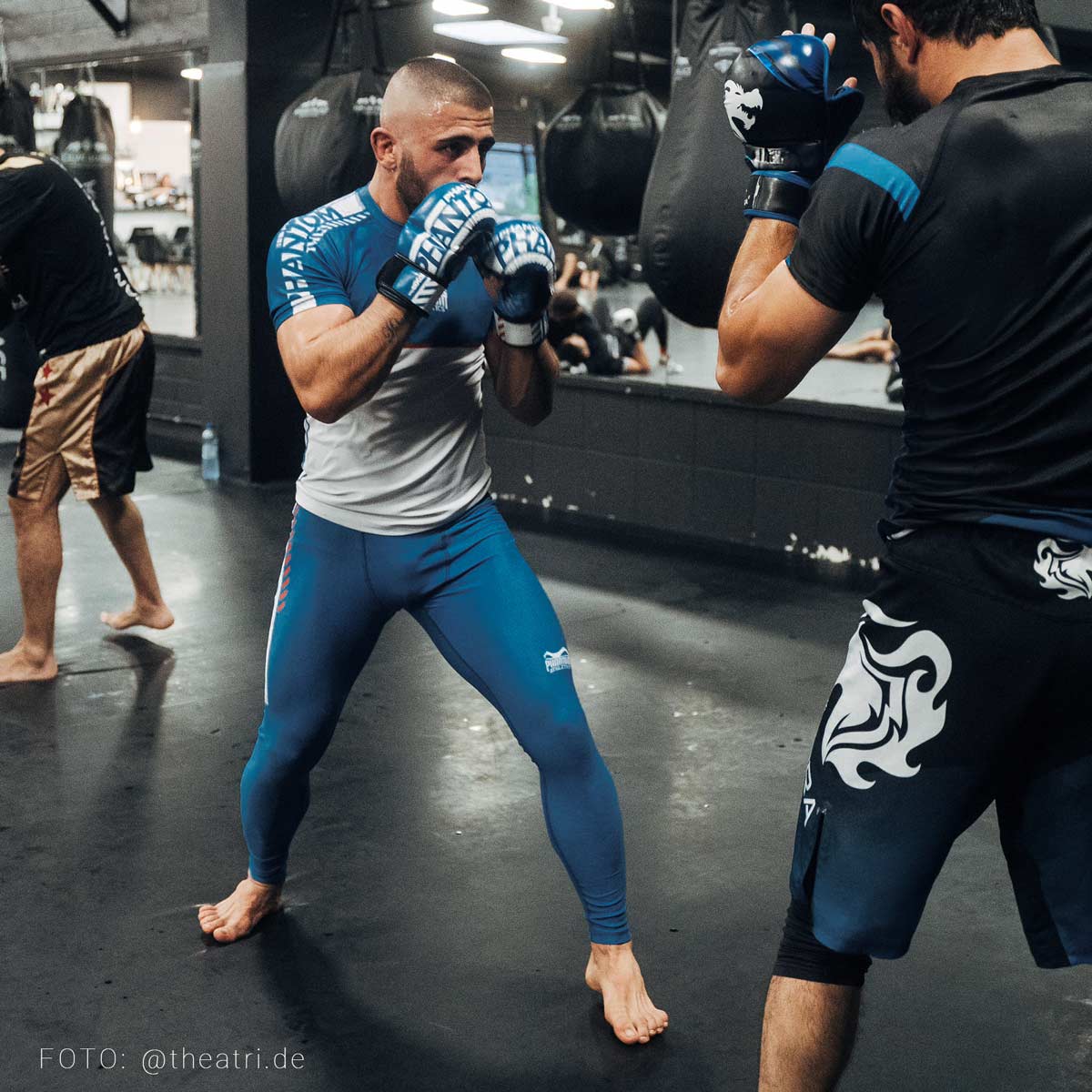 Phantom Athletics MMA Handschoenen APEX - Blauw
