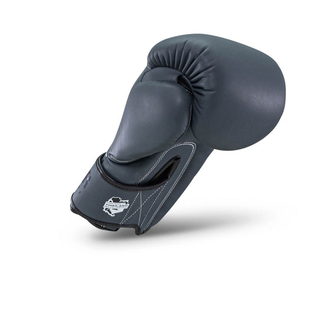Booster Boxing Gloves PRO BGL VX2 - Navy Blue