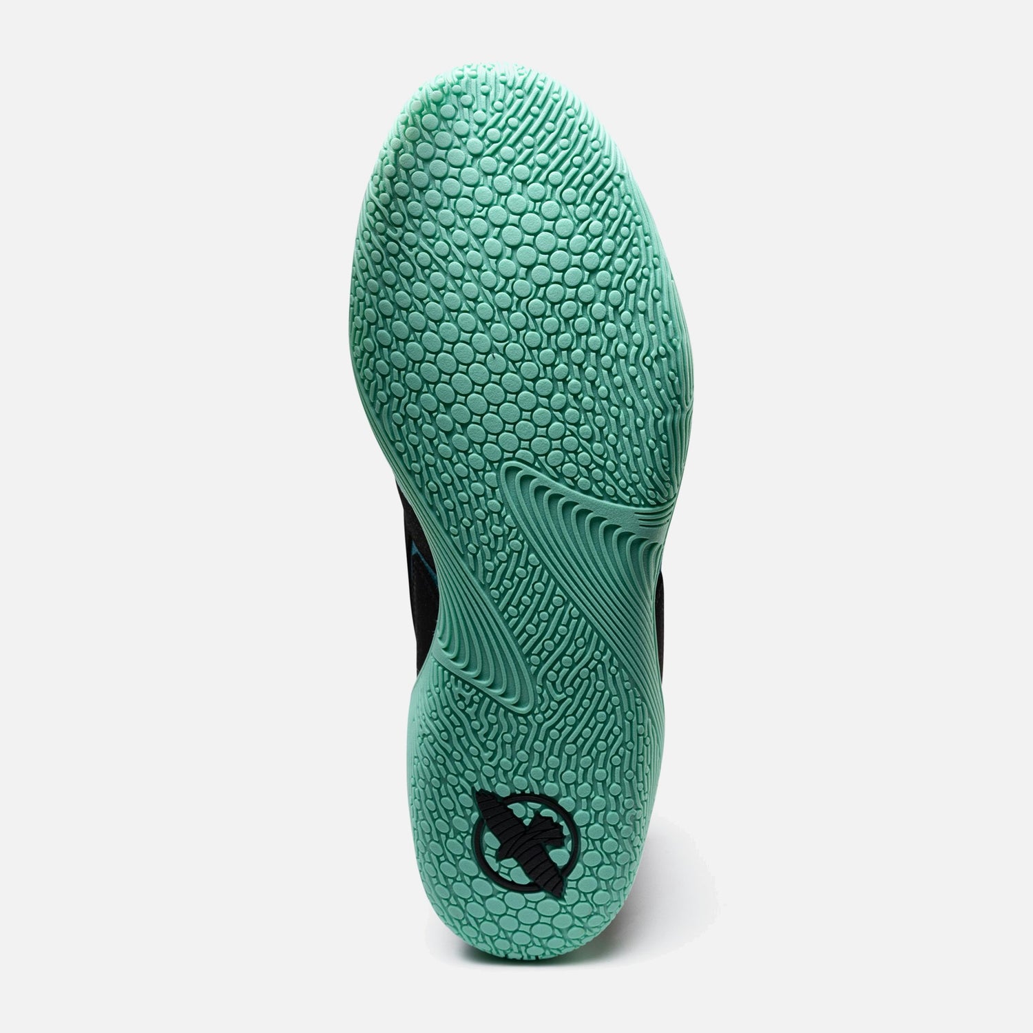Hayabusa Worstelschoenen Surge - Subzero