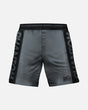 Calções de MMA Phantom Athletics EVO Apex – Cinzento