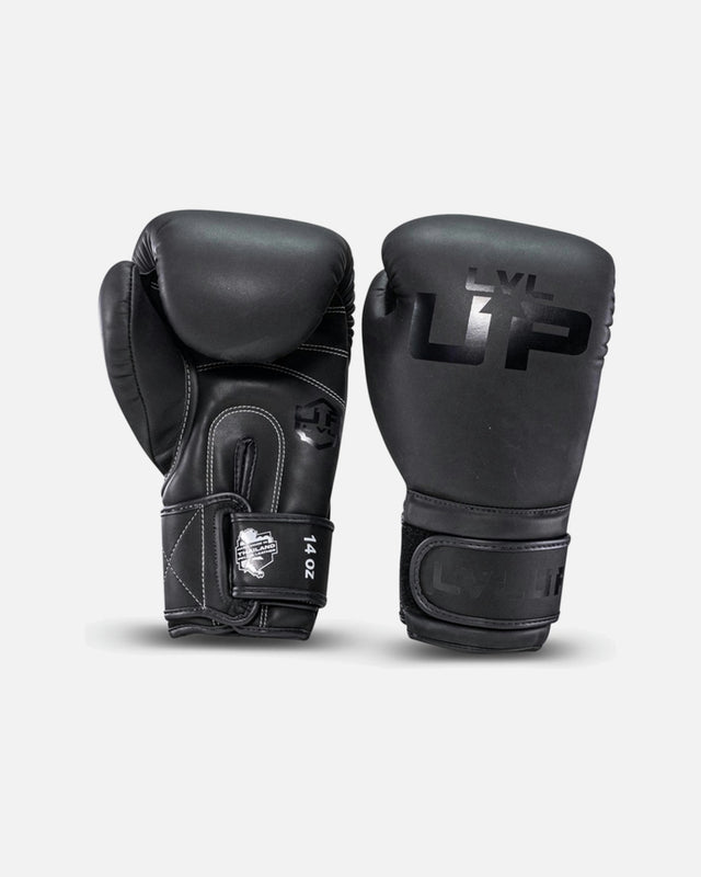 LVL UP Boxing gloves BG – Black