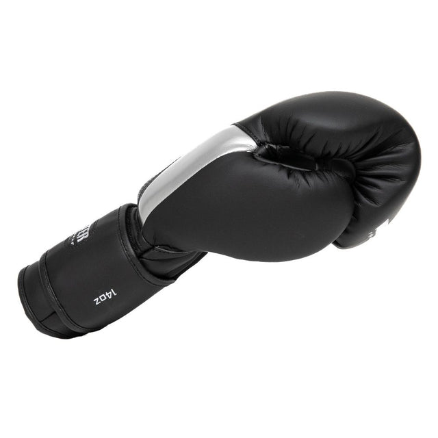 Booster Boxing Gloves BG 'XXX' - Black/Silver